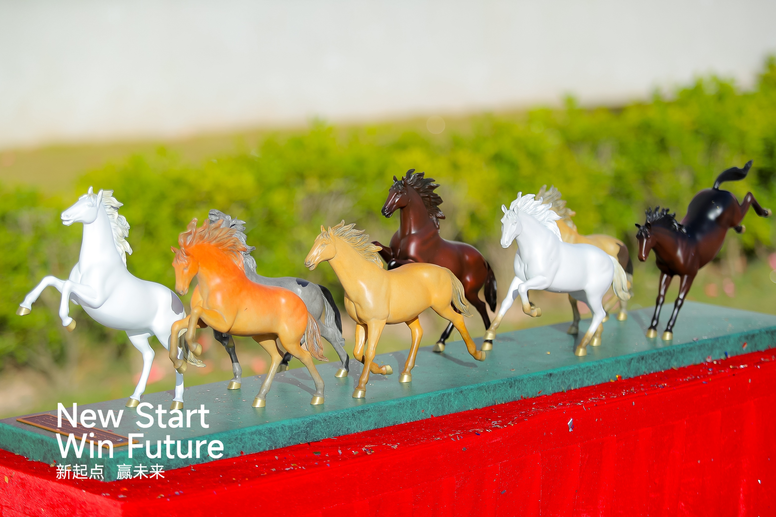 ��˹ά��˹9888��(�й���)�ٷ���վ