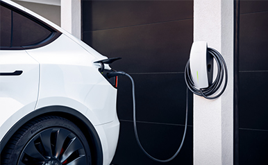 ��˹ά��˹9888��(�й���)�ٷ���վ